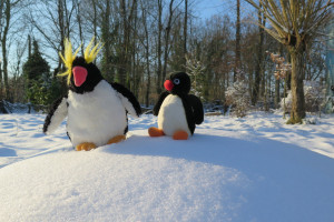 20210209-HF-sneeuwpret-6