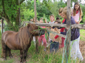 circus-dag-1-HF-34