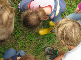 circuskamp-Het-Netepaleis-dag-1-HF-16