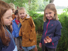 circuskamp-Het-Netepaleis-dag-1-HF-20