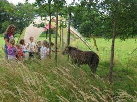 20200703-dag-3-kamp-1-HNP-HF-29