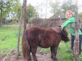 20191028Herfstkamp-het-netepaleis-Hilde-F-13