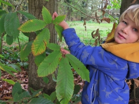 20191030herfstkamp-het-netepaleis-HF-48
