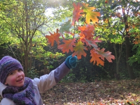 herfstkamp-slotdag-2019-HF-31