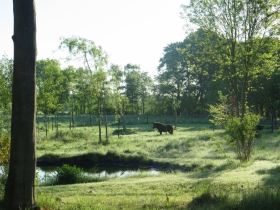 20180502het-netepaleis-foto-hilde-frateur-31