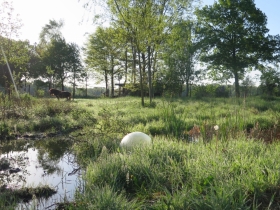 20180502het-netepaleis-foto-hilde-frateur-32
