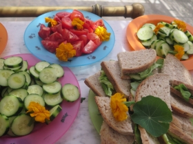 201807011het netepaleis zonnebloemkamp hilde frateurfoto (168)