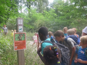 201807011het netepaleis zonnebloemkamp hilde frateurfoto (200)