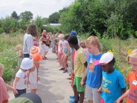 20180709HNPALEIS ZONNEBLOEM DAG 1 (45)