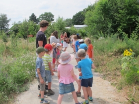20180709HNPALEIS ZONNEBLOEM DAG 1 (63)