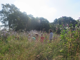 20180709zonnebloem Hilde (143)