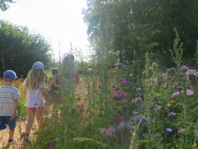 20180709zonnebloem Hilde (161)