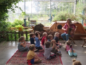 20180814HF lavendelkamp (4)