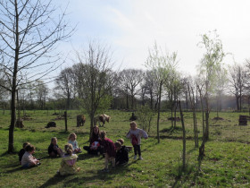 20220412-sel-het-netepaleis-paaskampjes-13