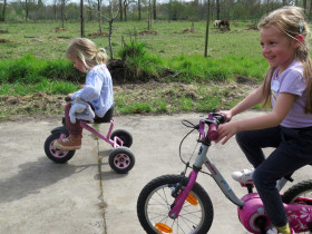 20220412-sel-het-netepaleis-paaskampjes-62