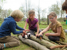 20220414-tuinwerk-blije-bijendag-HF-30