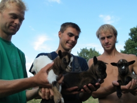 IMG_7809