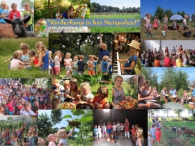 collage-kinderkamp-Het-Netepaleis