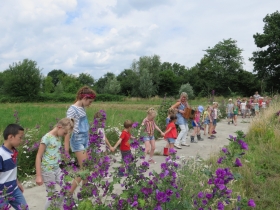 dag-1-kinderkamp-1-het-netepaleis-2017-37
