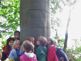 Foto-Hilde-Frateur-herfstkamp-in-Het-Netepaleis-3