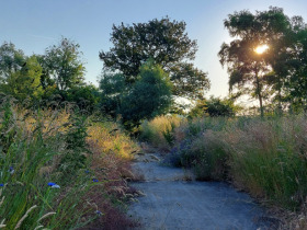 20230611_Het-Netepaleis-HF