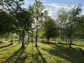 8-mei-2025-aan-Het-Netepaleis-6