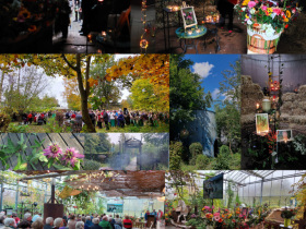 Laatste reis in Het Netepaleis - 1