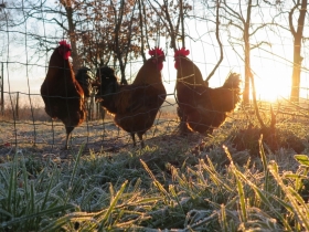 20190119-opi-10-jaar-gestorven-hilde-F-foto-6
