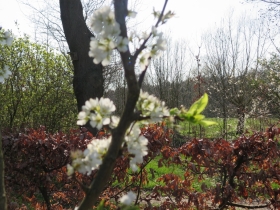 20190330hilde-frateur-foto-22