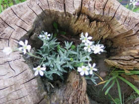 20190516hilde-frateur-foto-kessel-netepaleis-16