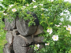 20190523hildef-het-netepaleis-19