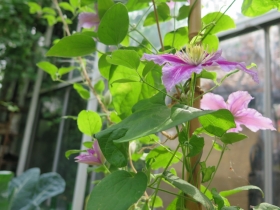 20190523hildef-het-netepaleis-48