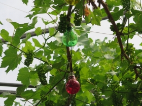 20190523hildef-het-netepaleis-60