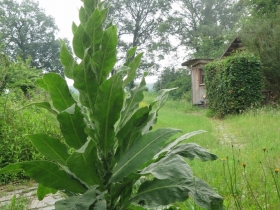 20190616het-netepaleis-foto-Hilde-Frateur-2