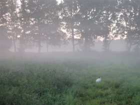 20190824-het-netepaleis-hilde-foto-19