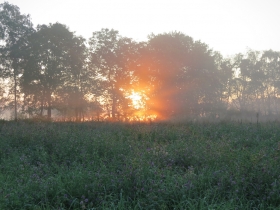 20190824-het-netepaleis-hilde-foto-20