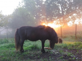 20190824-het-netepaleis-hilde-foto-32