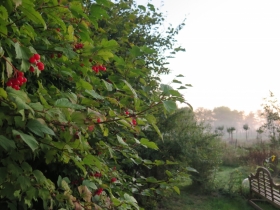 20190917-ochtend-foto-hilde-frateur-42