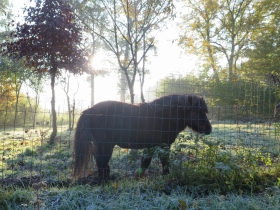 20191110-Het-Netepaleis-Hilde-Frateur-26