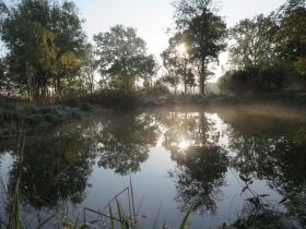 20191110-Het-Netepaleis-Hilde-Frateur-38
