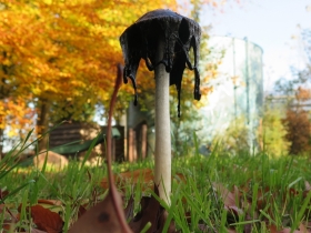20191117HETNETEPALEIS-hf-8