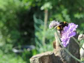 20220514-het-netepaleis-foto-hilde-frateur-15