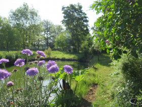 20220514-het-netepaleis-foto-hilde-frateur-22