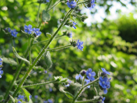 20220514-het-netepaleis-foto-hilde-frateur-36