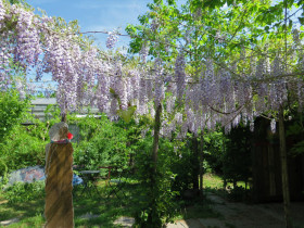 20220514-het-netepaleis-foto-hilde-frateur-59