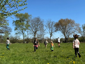 17ecb8a2-3eef-480c-9281-5e0ea32d6e29