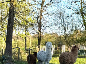 6aed6e52-0734-42f7-a0a1-9d7a823ec044