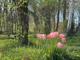 964c1b35-5bca-475d-ac84-29aff003010b