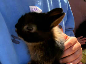 e1b154fb-3842-456a-9bee-b9c93941ed20