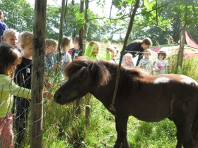 20200706het-netepaleis-35